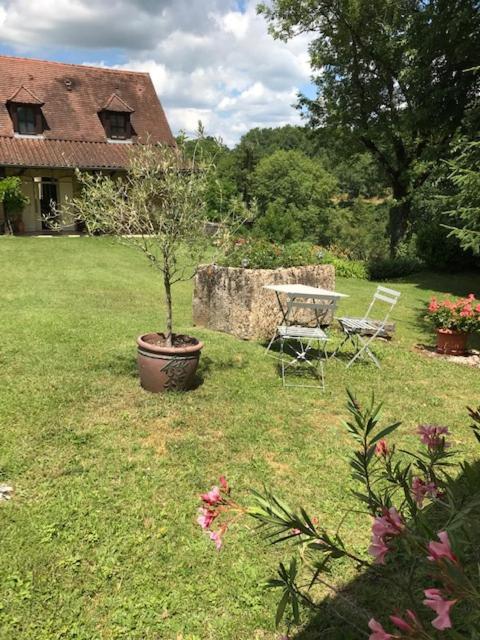 Chambre d'hôtes Lasserre Saint-Amand-de-Coly Extérieur photo